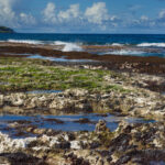 Negative tide near Ricky's Beach