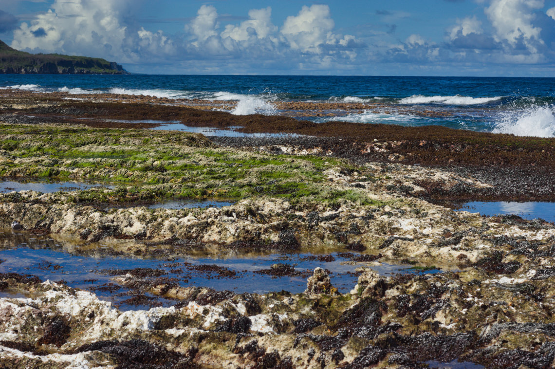 Negative tide near Ricky's Beach