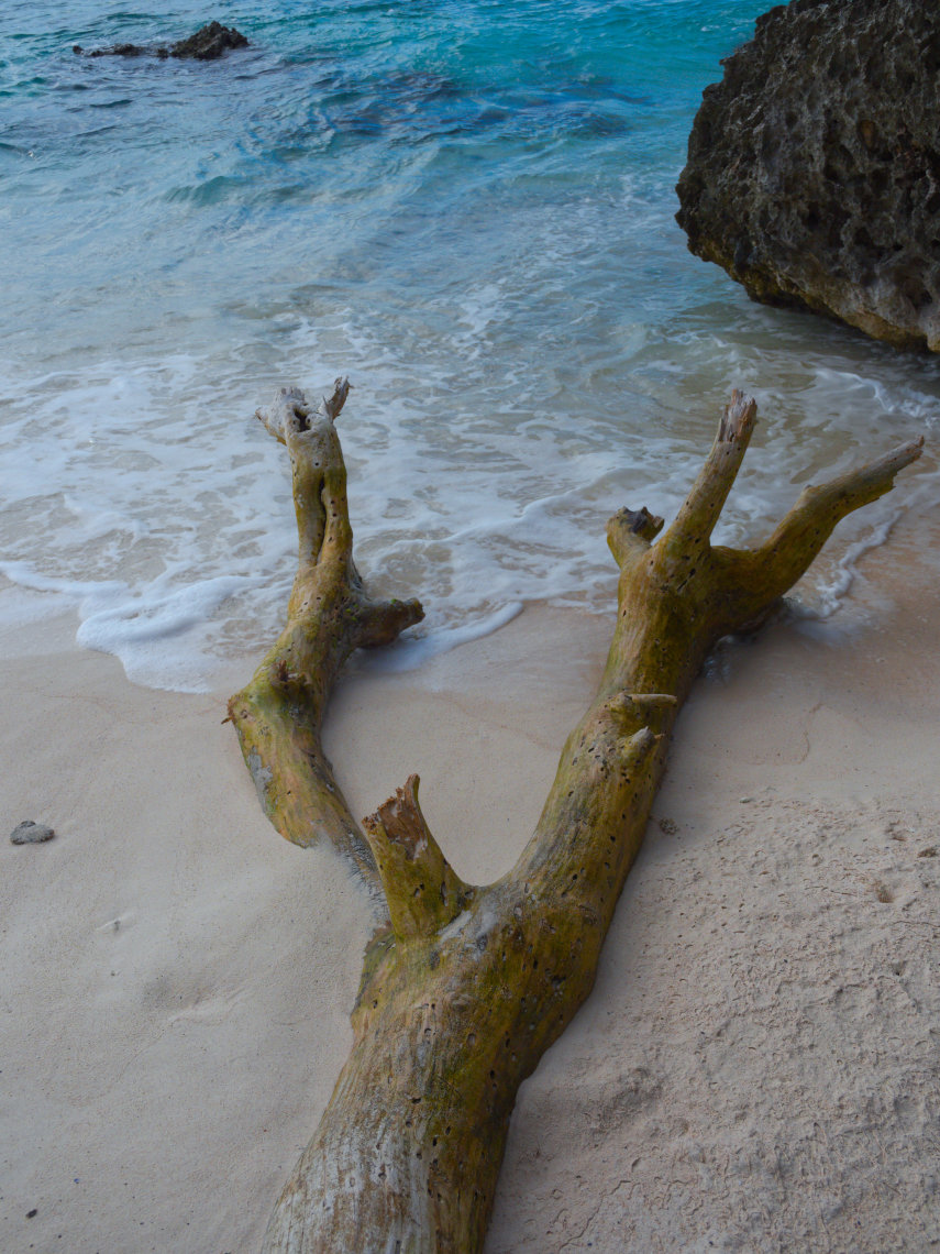 Reaching for the sea